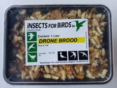 Darrenbroed 12 liter Drone Brood 12 liter INCLUDING FREE SHIPPING TEMPEX BOX