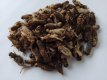 Krekels LARGE NR7 28 liter Crickets NR7 28 liter INCLUDING FREE SHIPPING TEMPEX BOX