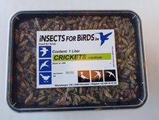 Crickets Medium NR5 1 liter
