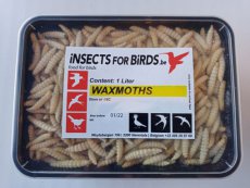 Wasmotten 12 liter Waxmoths 12 liter INCLUDING FREE SHIPPING TEMPEX BOX